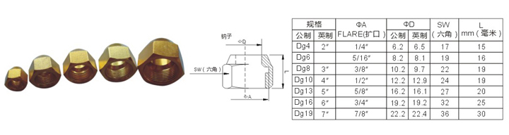 02钠子.jpg